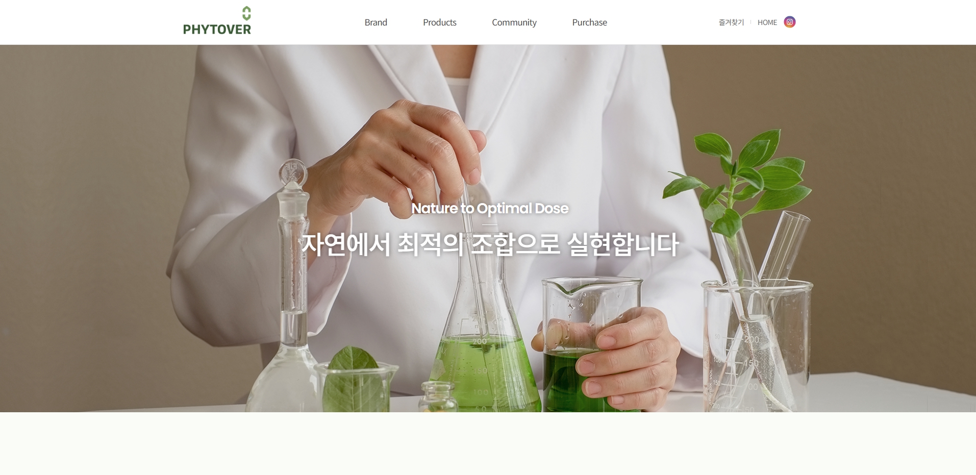 컨텐츠 이미지